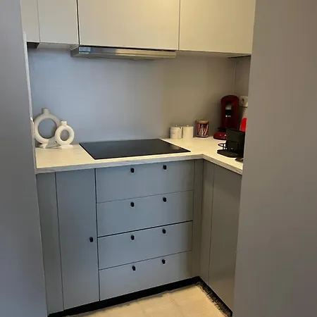 公寓 Situe Au Centre D'alfortville 阿尔福维尔